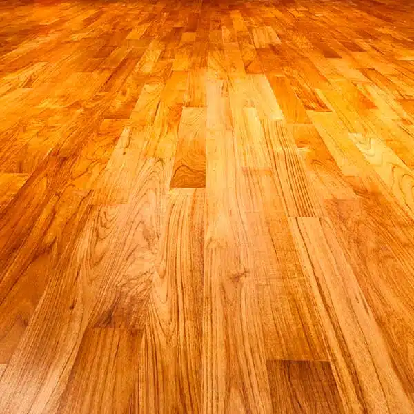 Dustless Wood Floor Cleaning