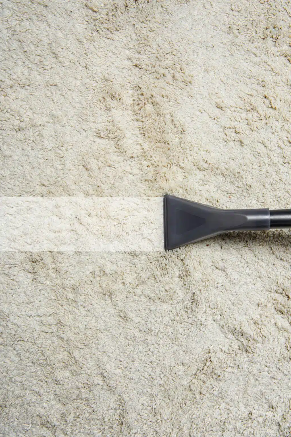 Cleaning Tip of the Month
